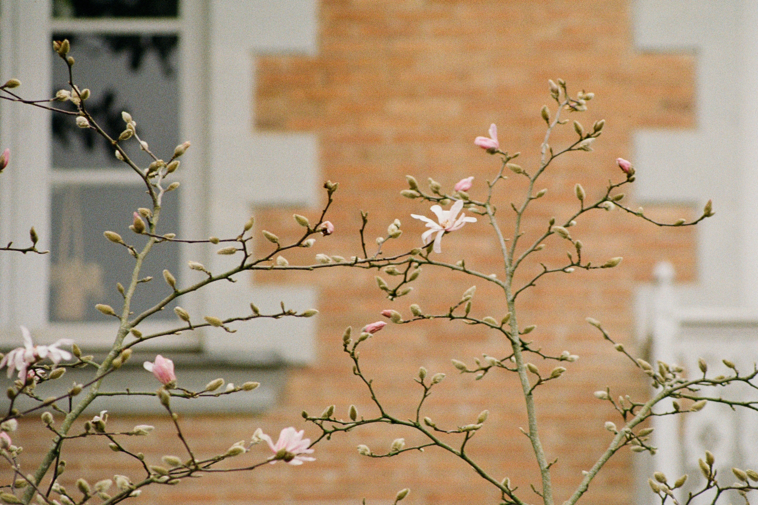 2023-02-17 111631 Nature Jardin des Plantes (Minolta f5.6 250)